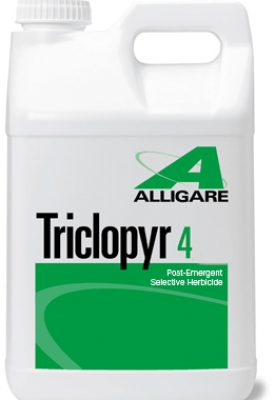 Triclopyr Gal.